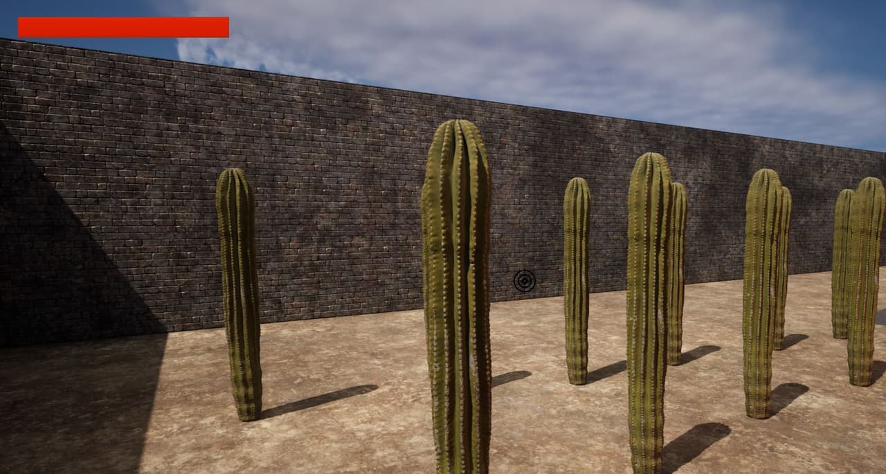 CactusRush