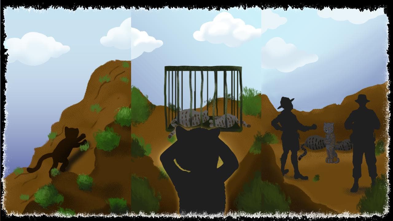 AchaMichi, el viaje de jacobitus