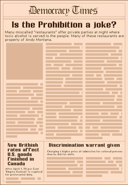 The Democracy Times screenshot 5