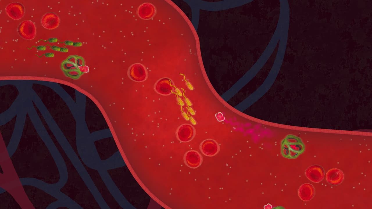 Biorhythm screenshot 5