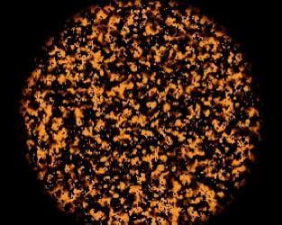 Cyclic Cellular Automata #Exp 1 screenshot 2