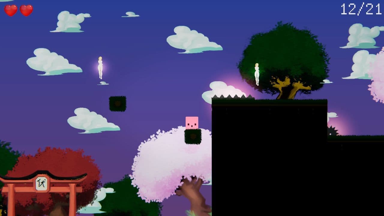 20 Ladies screenshot 4