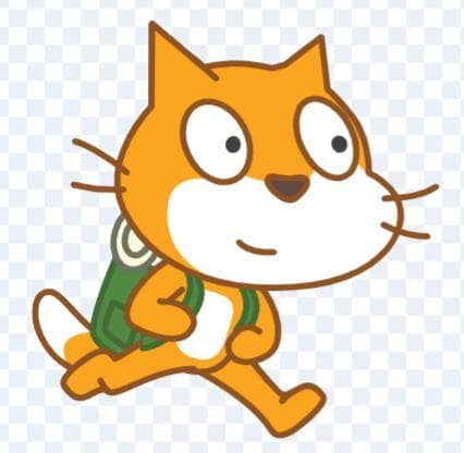 Runner cat!