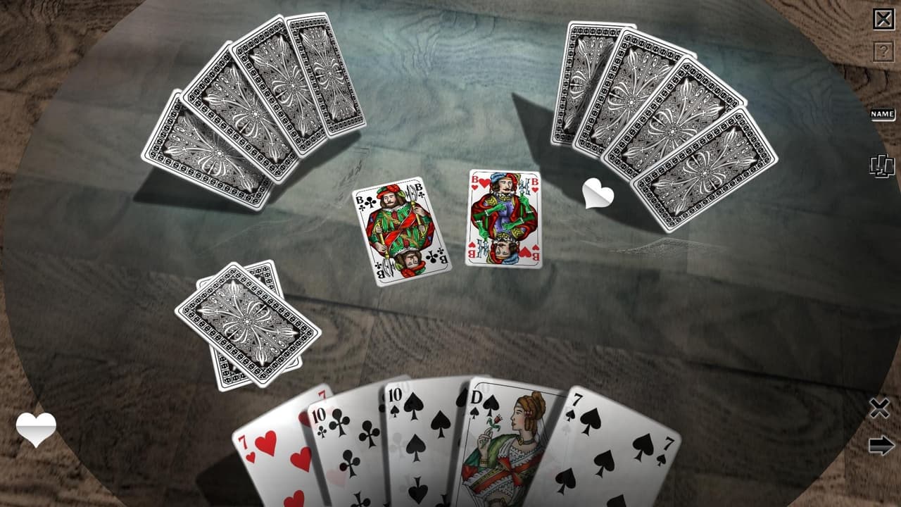 Skat 3D Premium screenshot 4