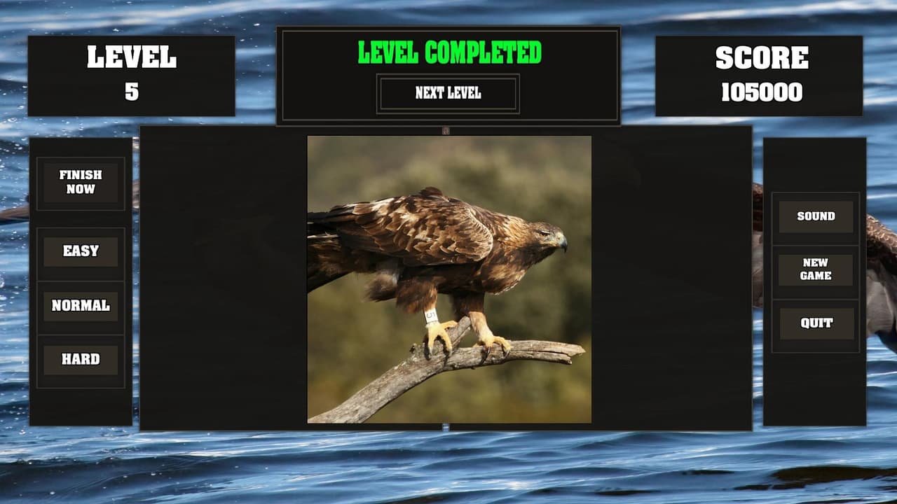 Fitzzle Majestic Eagles screenshot 3