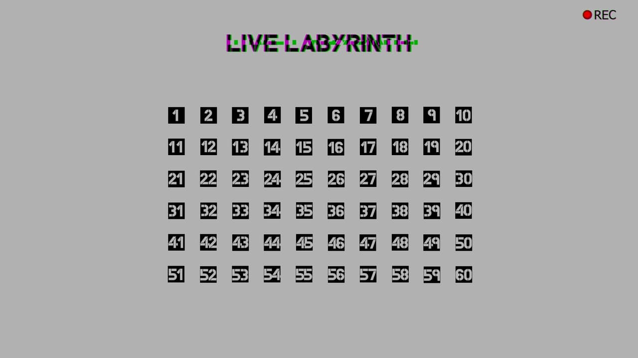 Live Labyrinth screenshot 2