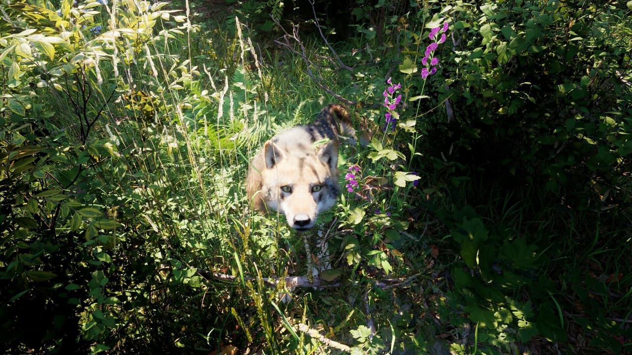 Russian Soul Simulator screenshot 3