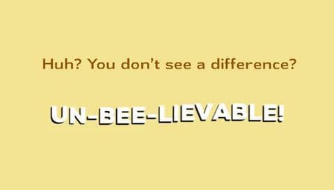 Bee Beesness