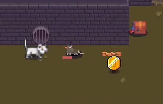 Coots Saves The Date screenshot 2