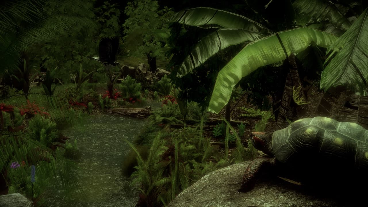 The Red-Footed Tortoise screenshot 3