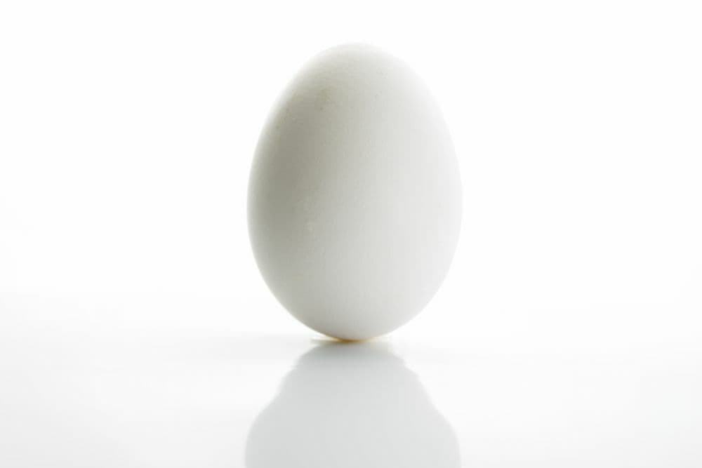 The Egg (brinleybee)