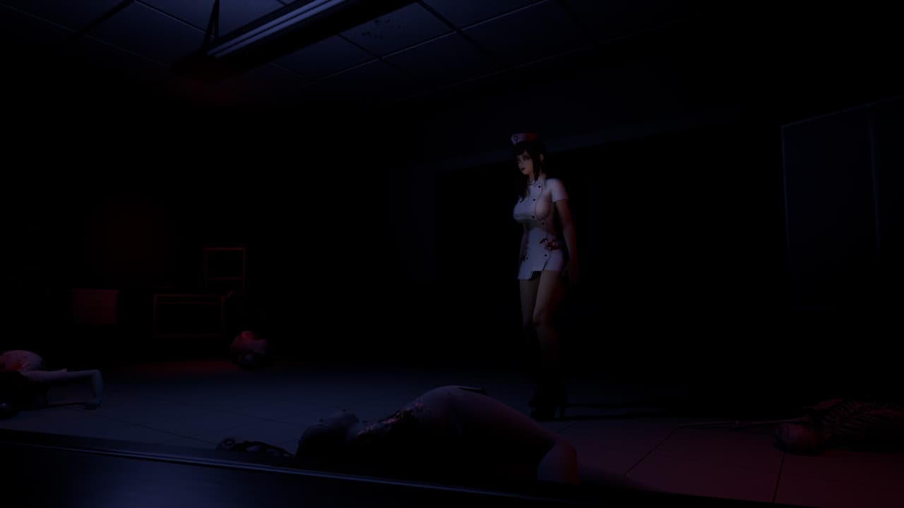 Ruined Nurse screenshot 2