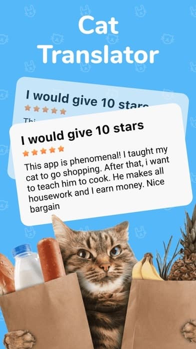 Cat Translator - Meow screenshot 5