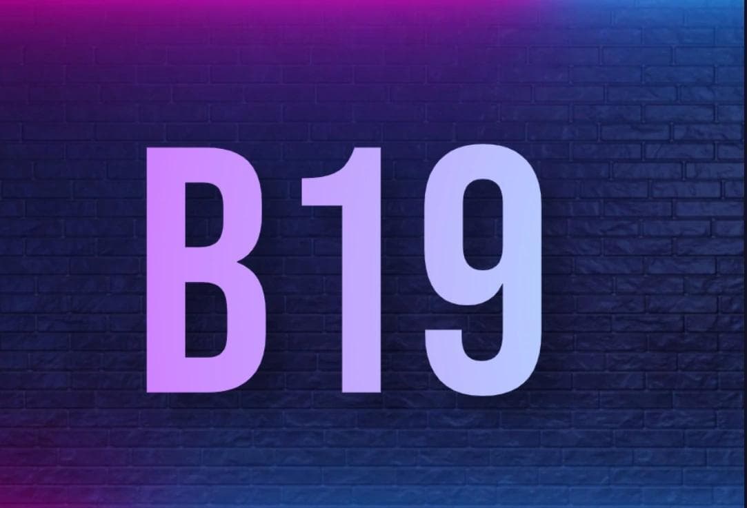 B19