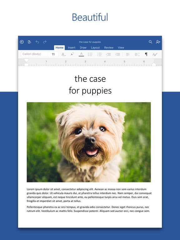 Microsoft Word screenshot 2