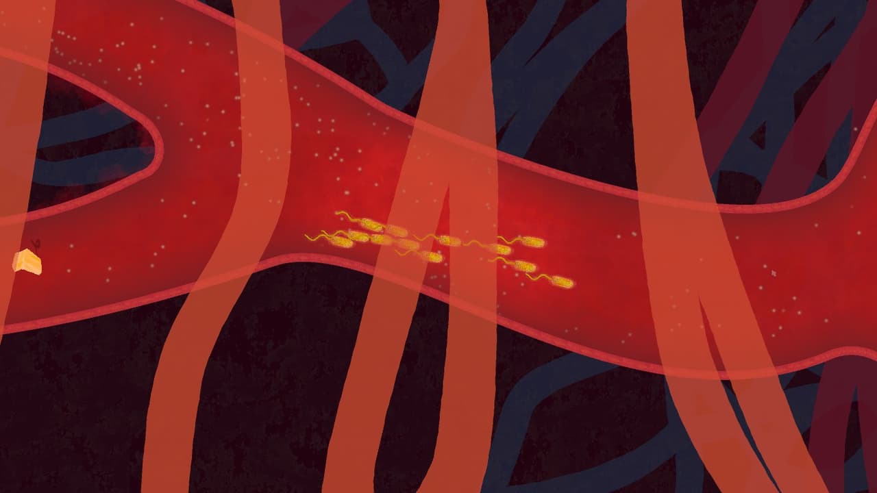 Biorhythm screenshot 2