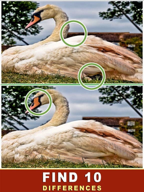 I Love Find The Difference screenshot 3