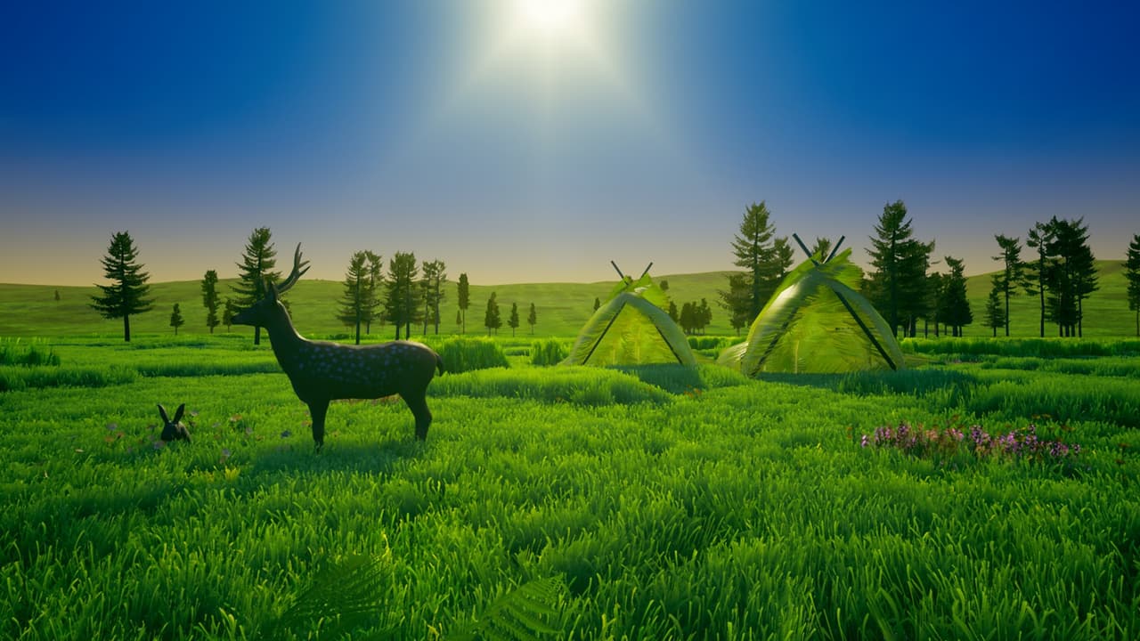 My Island
