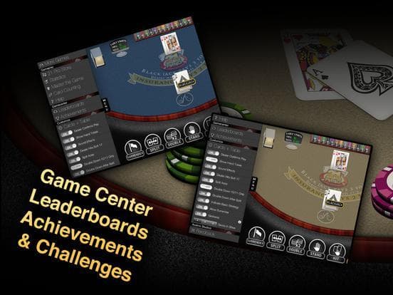 Blackjack Pro: 21 Vegas Casino screenshot 4