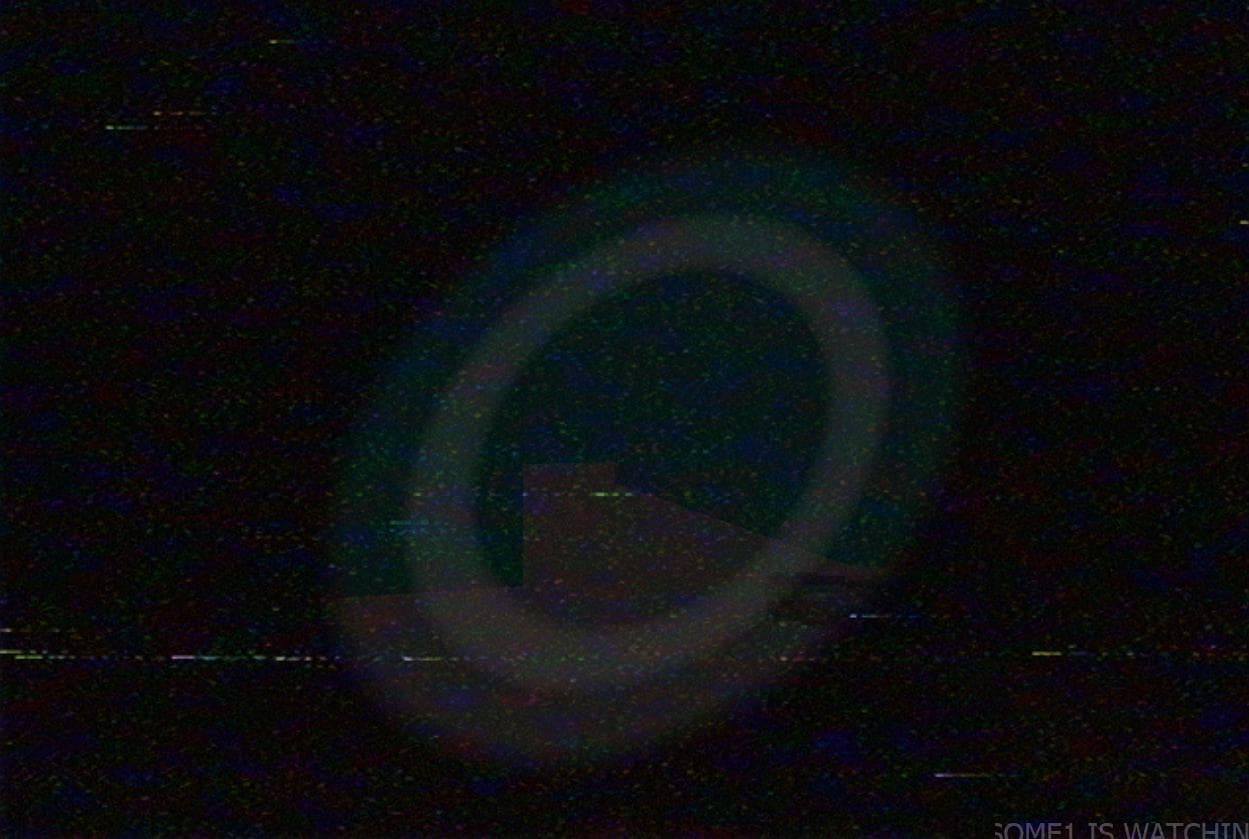 VHS_173 screenshot 3