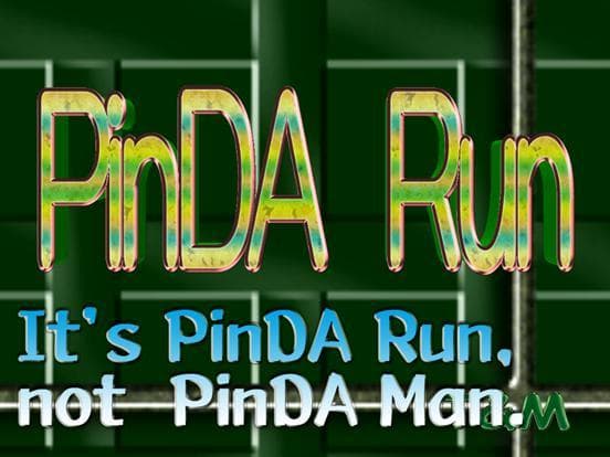 PinDA Run screenshot 6