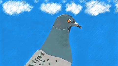 Pigeon Simulator (itch)