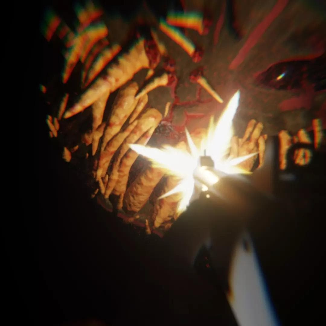 Entomocene