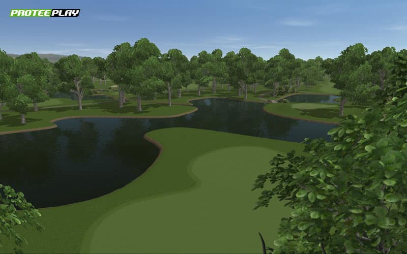 ProTee Play 2009: The Ultimate Golf Game