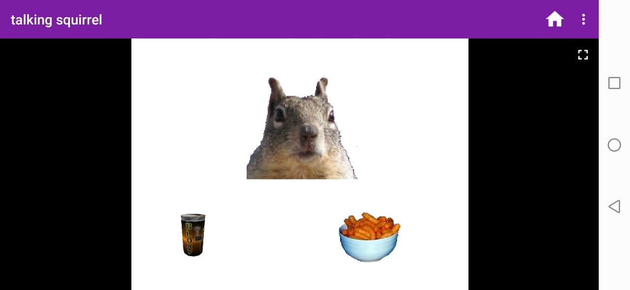 Talking squirrel screenshot 5