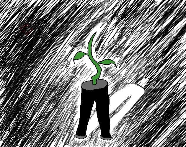 Sapling.