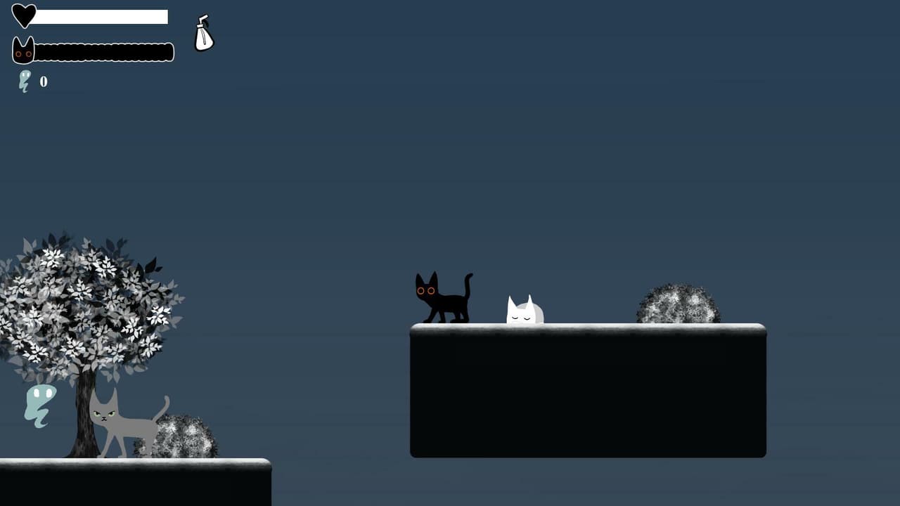 Void Cat