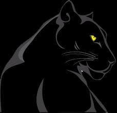 Panther Finder