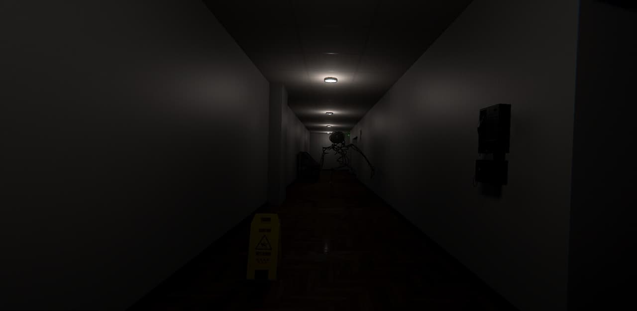 Lost in Anomaly
