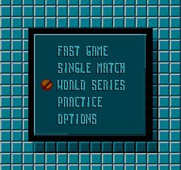 International Cricket screenshot 3
