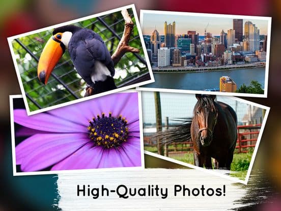Venn: Jigsaw Puzzle screenshot 2