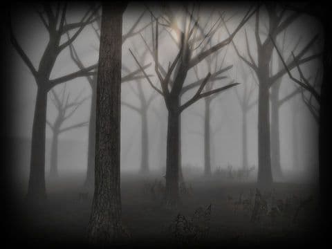 Slender Rising Free