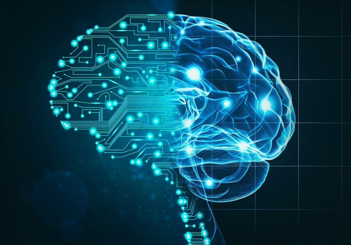 Neural Networks Examples