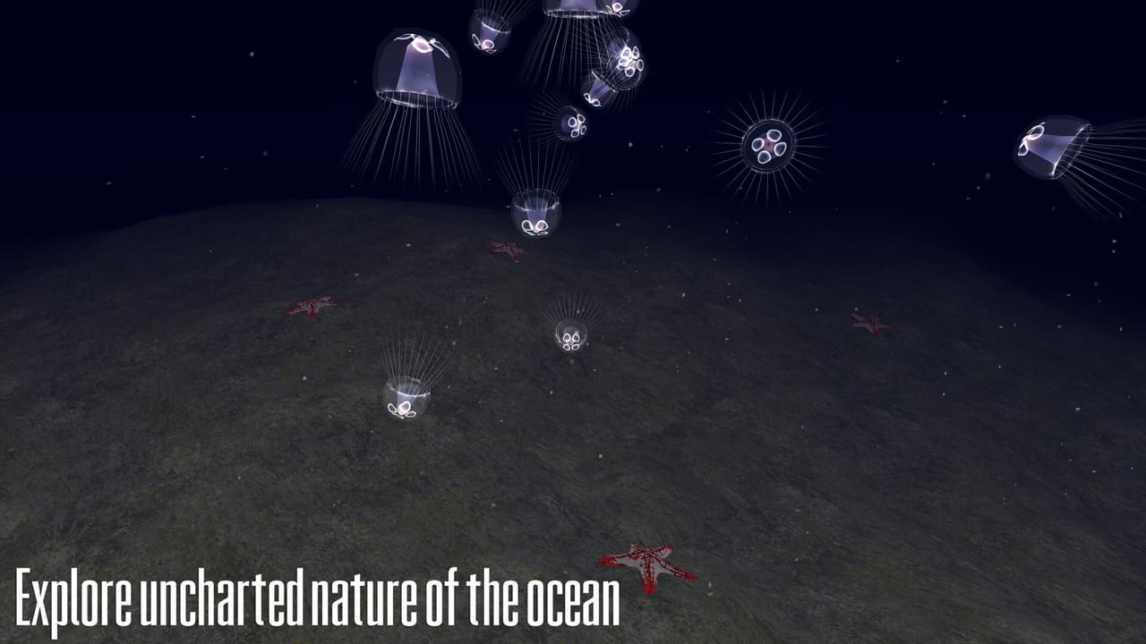 Submarine VR