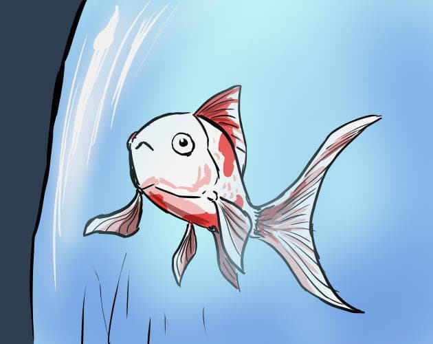 I bought a goldfish on a whim