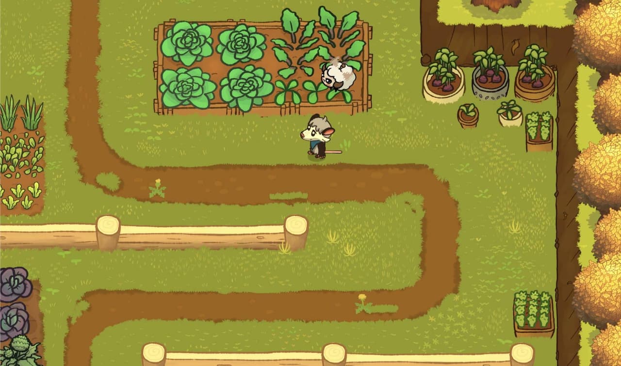 Marrowroot screenshot 5