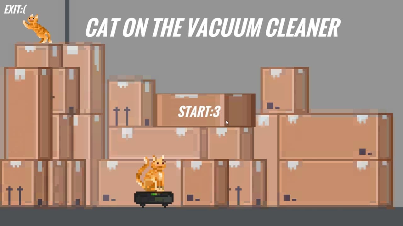 CAT ON THE VACUUM CLEANER 1.0 screenshot 3