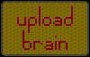 Pops Brain