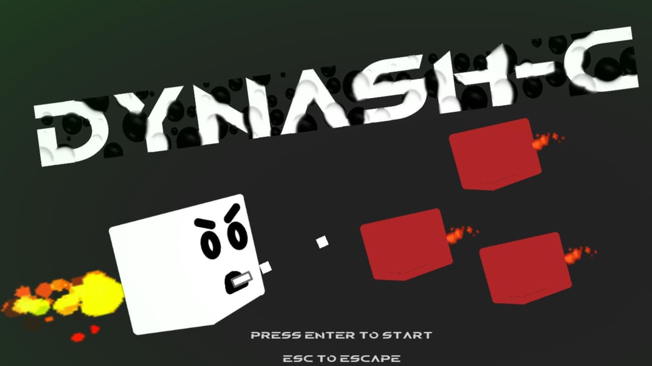 DYNASH-C screenshot 2