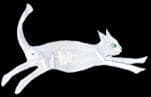 Evolutionofcats