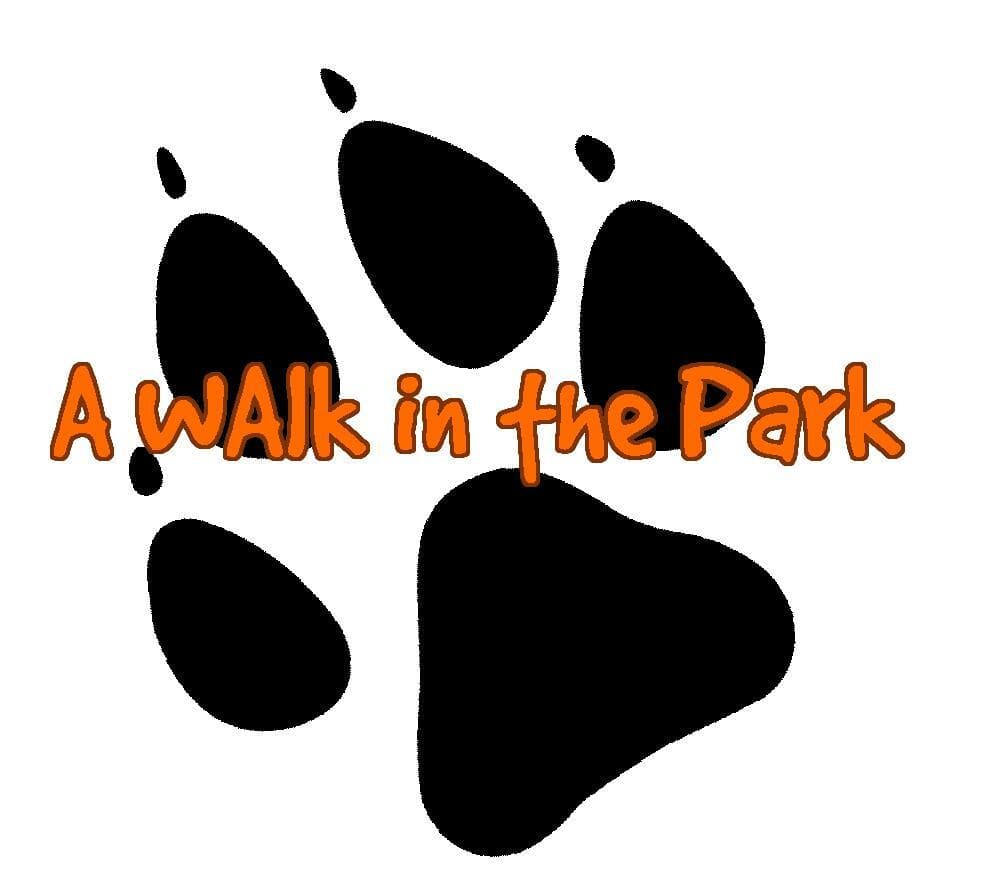 A Day in the Park (Spronkles)
