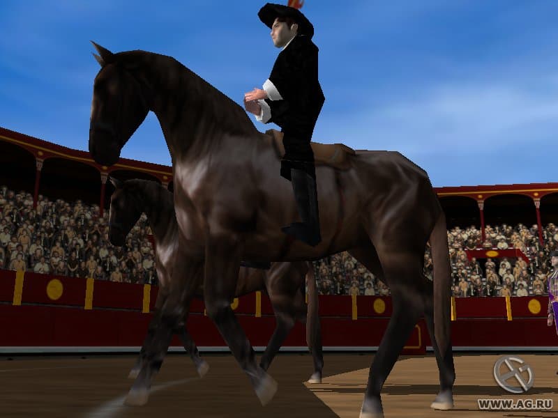 Torero screenshot 3
