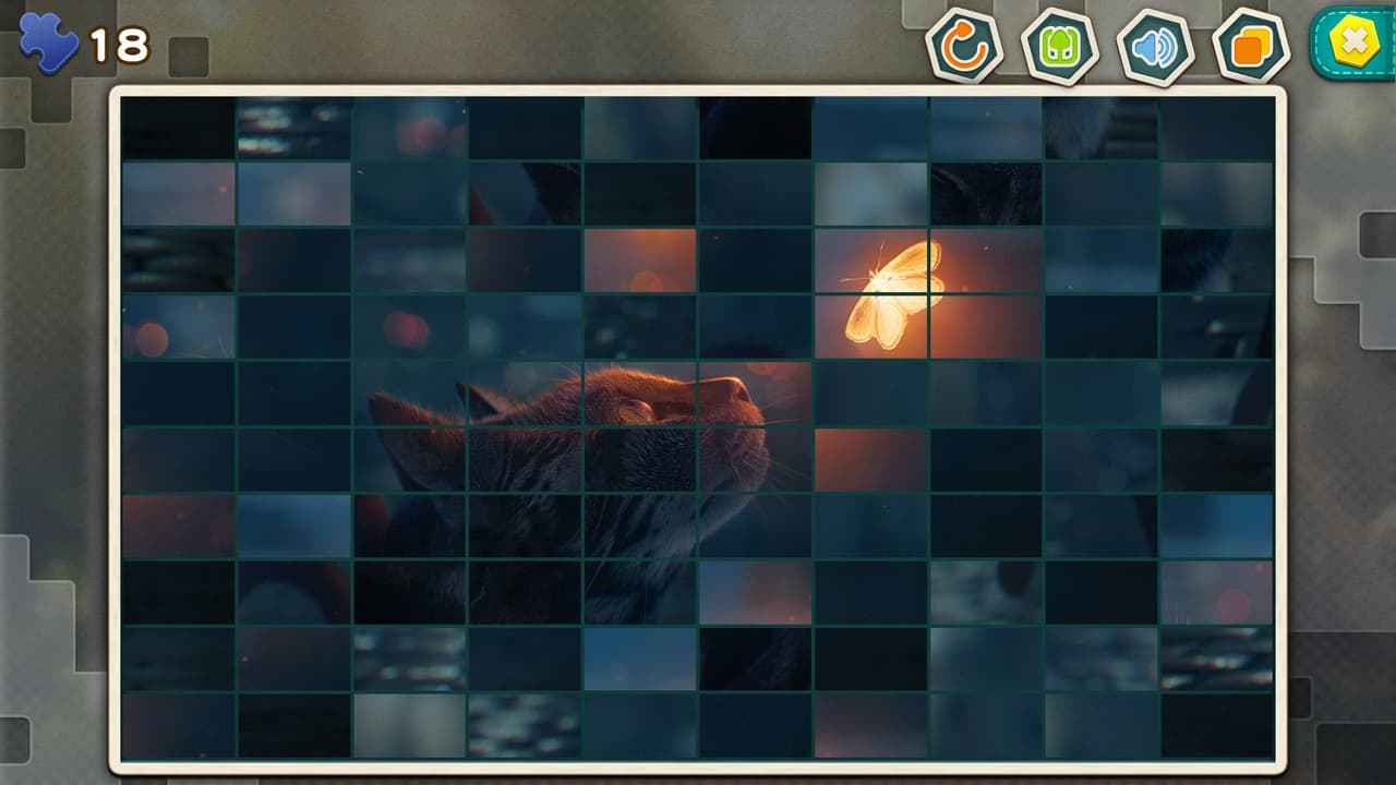Pleasure Puzzle:Workshop