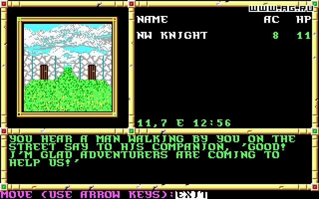 Neverwinter Nights (1991)