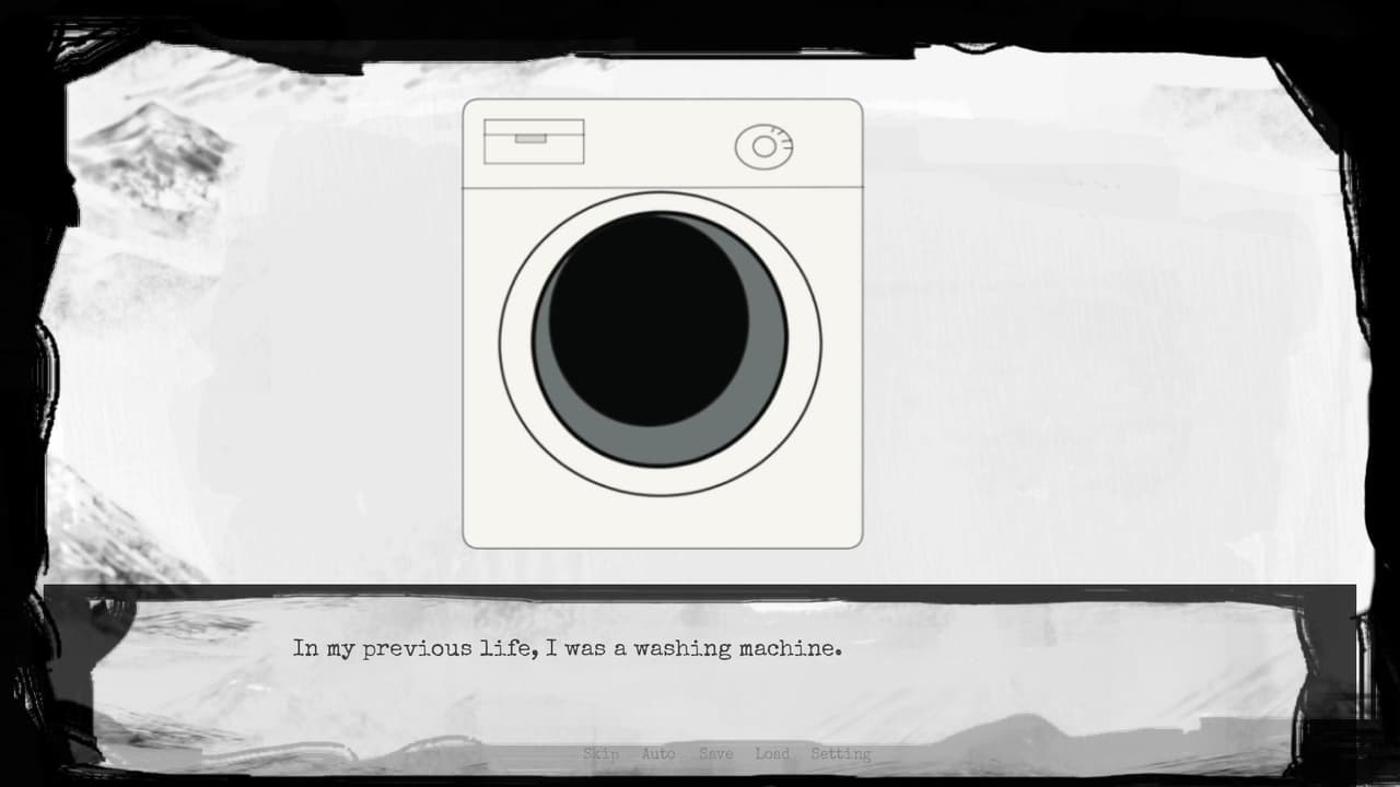 I used to be a washing machine