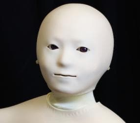 Bruhtangle